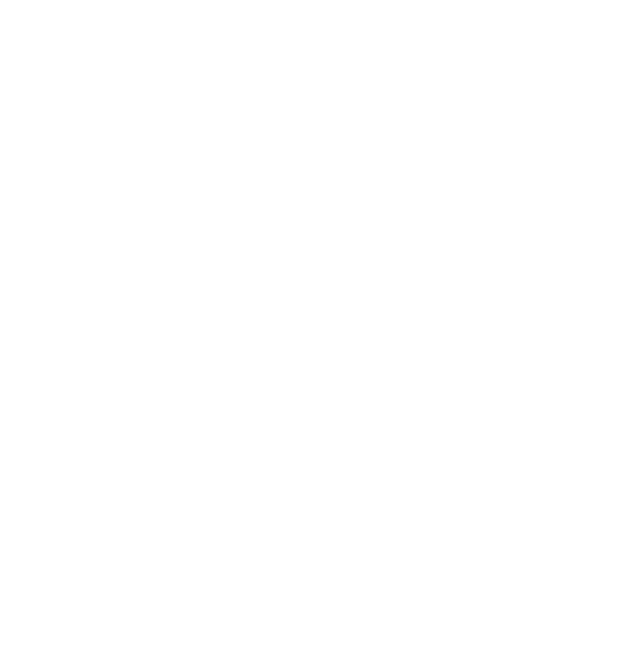 Venezia Transport logo
